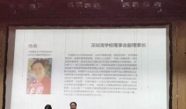 深圳学校新闻爆料最新,校园事件引发社会关注，真相即将揭晓